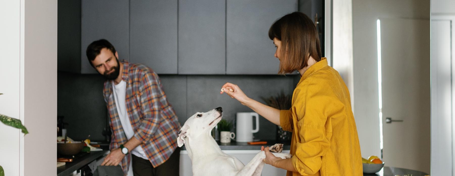 lady gives dog a treat while her husband cooks in the kitchen