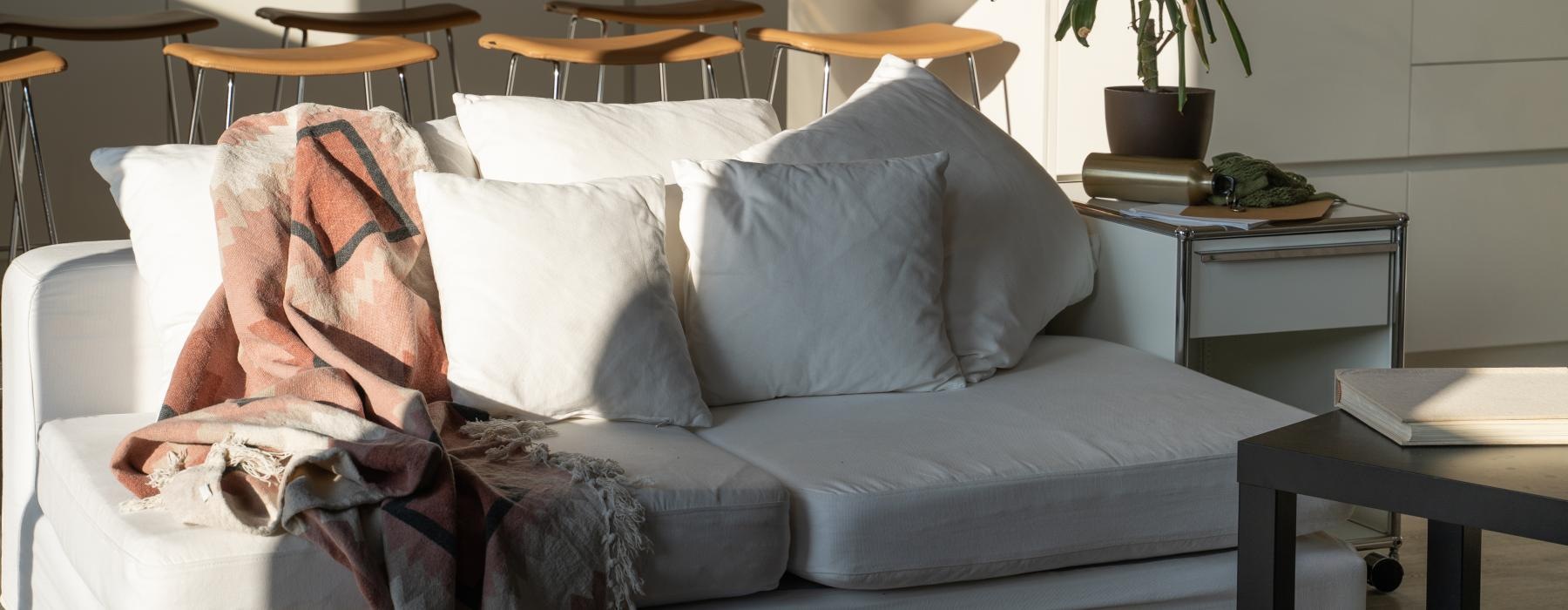 sunlit living room couch